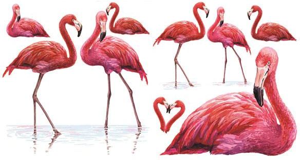 Castorama Naklejka Samoprzylepna Flamingi 40x30 Cm 2 Szt Opinie I
