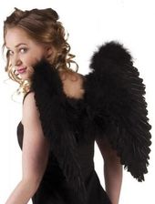 Zdjęcie aster Skrzydła Anioła czarne 50x50cm - Niepołomice