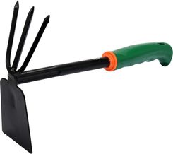 Zdjęcie Flo Motyczka Z Pazurkami   - Białystok