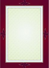 Zdjęcie Dyplom Galeria Papieru Majestic 170G - Wronki