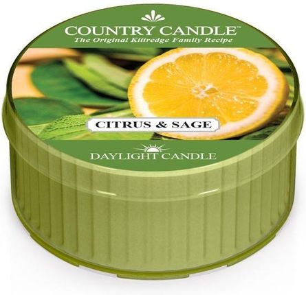 Country Candle Citrus And Sage Świeca Zapachowa Daylight 1 Knot