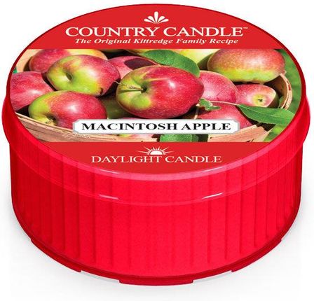 Country Candle Macintosh Apple Świeca Zapachowa Daylight 1 Knot