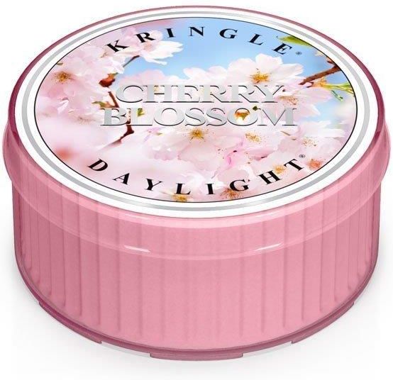 Kringle Candle Cherry Blossom Świeca Zapachowa Daylight 1 Knot Opinie