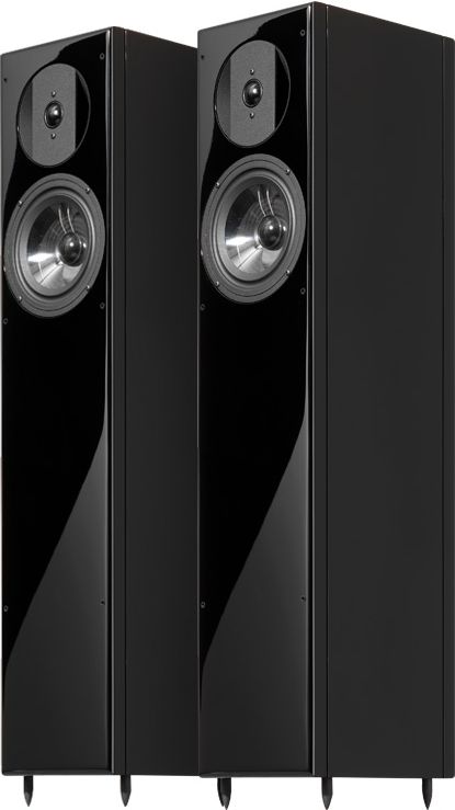 VIENNA ACOUSTICS Bach Grand - Opinie i ceny na Ceneo.pl
