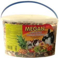 Zdjęcie MEGAN PRzYSMAK OWOCOWY DLA GRYzONI 3L - Andrychów