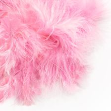 Zdjęcie Piórka Dalprint CEPI-004 różowe - Mińsk Mazowiecki