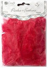 Zdjęcie Piórka Dalprint CEPI-009 czerwone - Połaniec