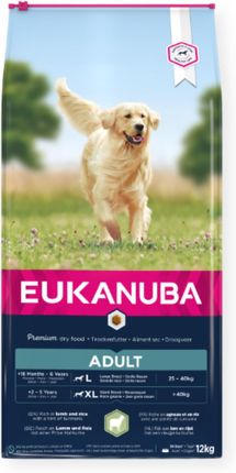Eukanuba sucha karma w formie granulek dla dorosłych psów dużych ras bogata w jagnięcinę i ryż 2x12kg