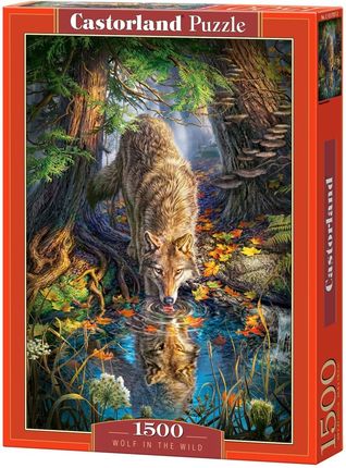 Castorland Puzzle 1500 Wolf In The Wild 