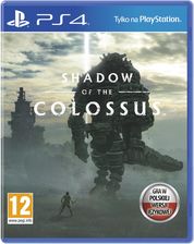 Zdjęcie Shadow of the Colossus (Gra PS4) - Racibórz