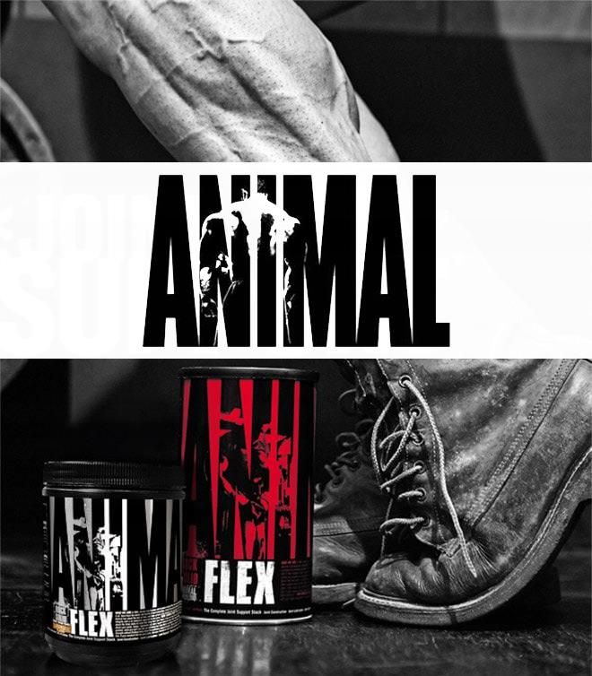 Universal Animal Flex Powder 381G - zdjęcie 5 Universal Animal Flex Powder 381G