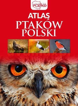 Atlas ptaków Polski - Anna Przybyłowicz [KSIĄŻKA]
