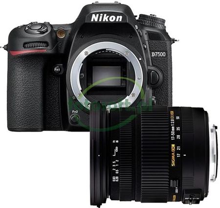 Nikon D7500•17-50mm F/2.8 EX DC OS HSM 54_3.jpg