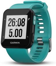 garmin forerunner 30 cena