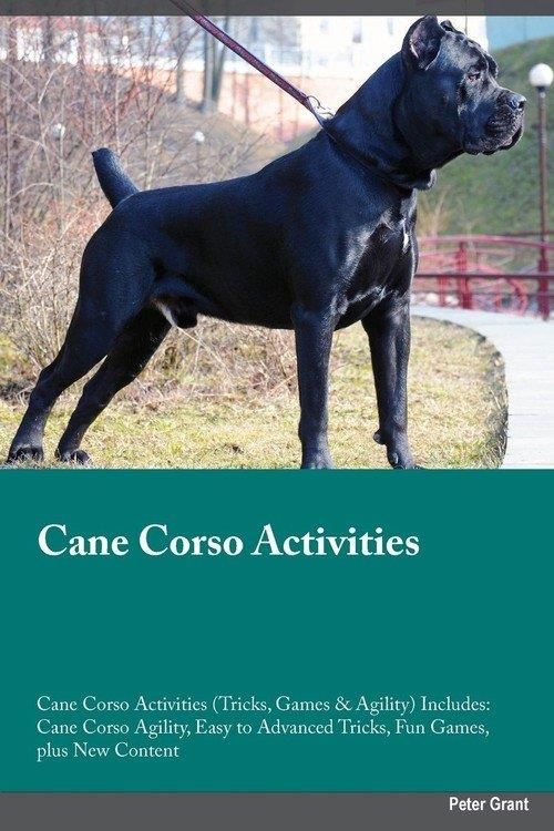 Cane Corso Activities Cane Corso Activities Trick Literatura