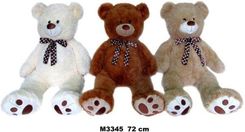 Zdjęcie Sun-Day Miś (M3345) - Oborniki