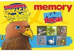 Ptaki Polski Memory Kolorowa Edukacja - zdjęcie 1