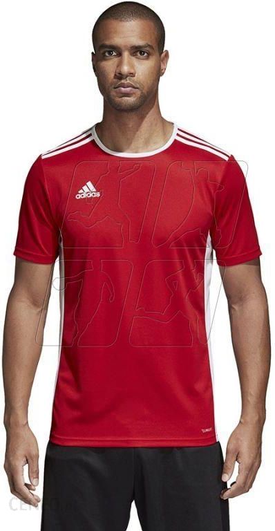 Adidas Koszulka Entrada 18 Cf1038 - Ceny I Opinie - Ceneo.pl