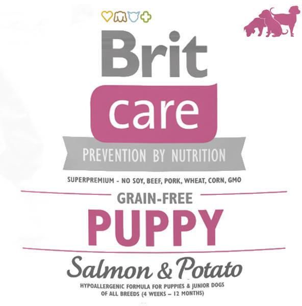 brit care puppy salmon potato