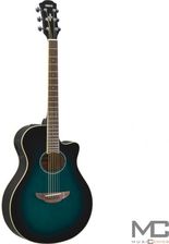 Yamaha APX-600 OBB