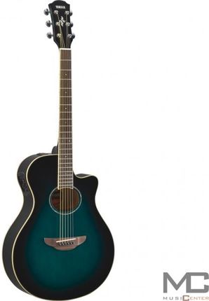 Jay Turser MODEL No. 500 プロ仕様 ※31※ Jay Turser MODEL No. 500 手作り