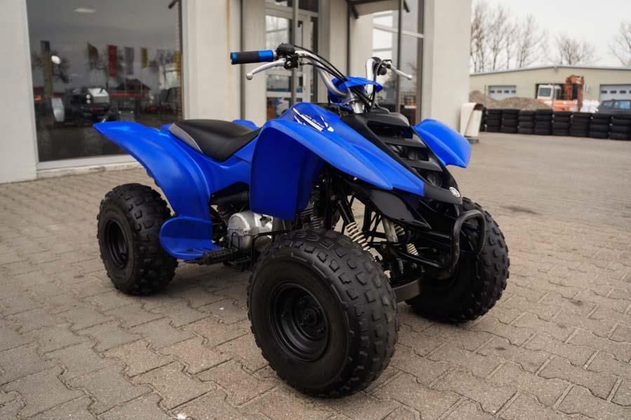 QUAD YAMAHA YFZ 80 RAPTOR 2008r. DOSTAWA GRATIS - Opinie i ceny na Ceneo.pl