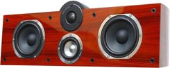 Zdjęcie Taga Harmony Platinum C-40PR SE Rosewood - Andrychów