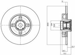Delphi Tarcza Ham./Tył/ Citroen C4 Picasso 06- Bg9053Rsc
