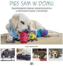 Zdjęcie Pies sam w domu - Kate Mallatratt - Głogów