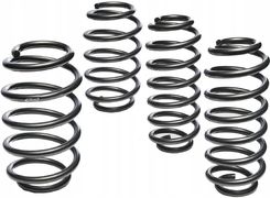 Zdjęcie EIBACH Zestaw sprężyn EIBACH Pro-Kit E10-55-019-03-22 - Rydułtowy