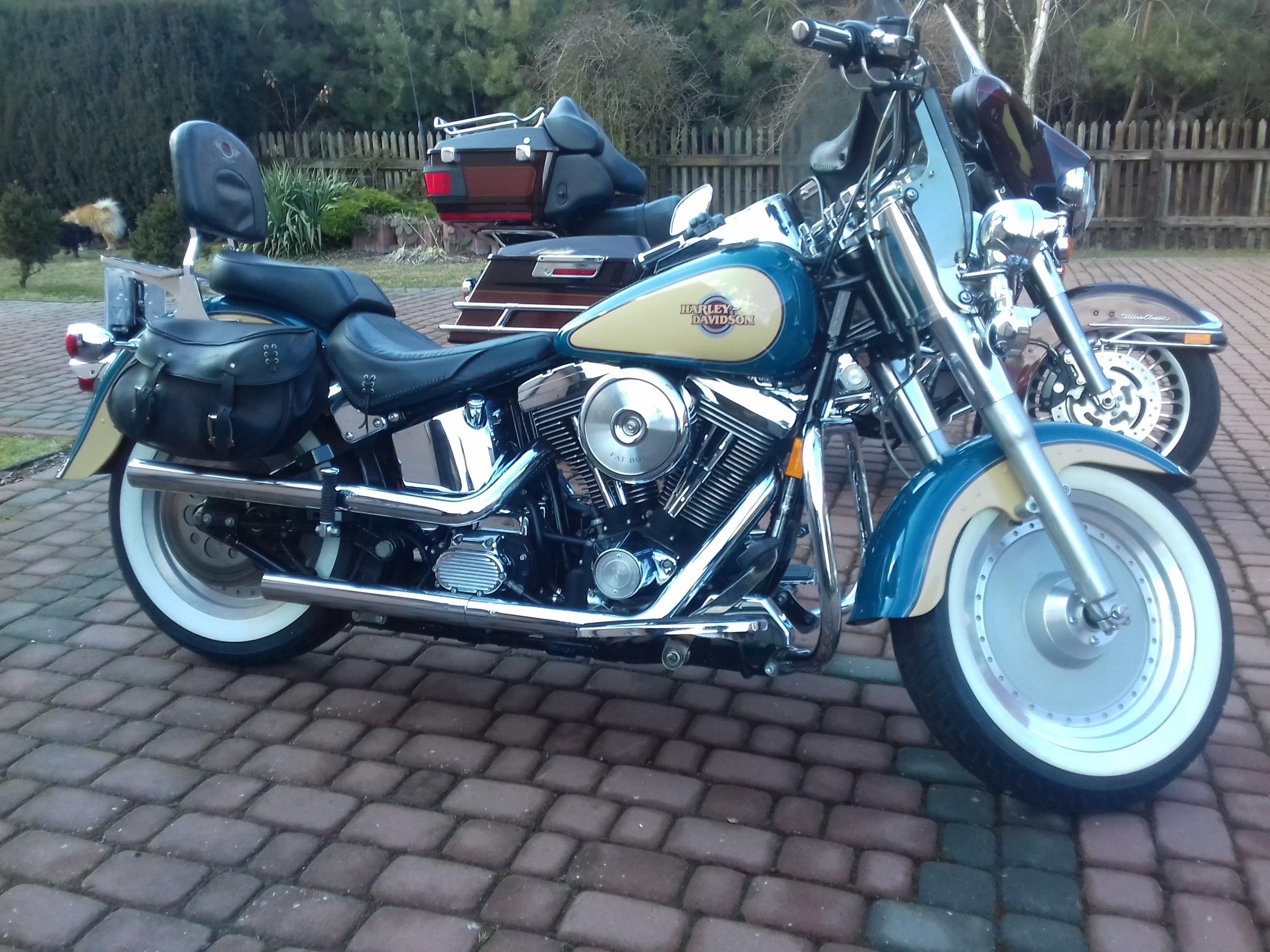 harley davidson fatboy evo