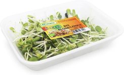 Zdjęcie Świeże Kiełki Słonecznika Bio Opakowanie 1 Szt Około 50G - Sianów