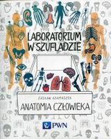 Zdjęcie Anatomia człowieka laboratorium w szufladzie - Chełmek
