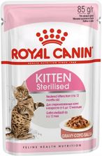 royal kitten sterilised