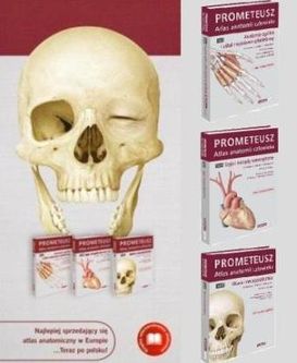 PROMETEUSz Atlas anatomii człowieka Tom 1-3