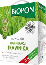 Zdjęcie Biopon do Regeneracji Trawnika 3kg - Kazimierza Wielka