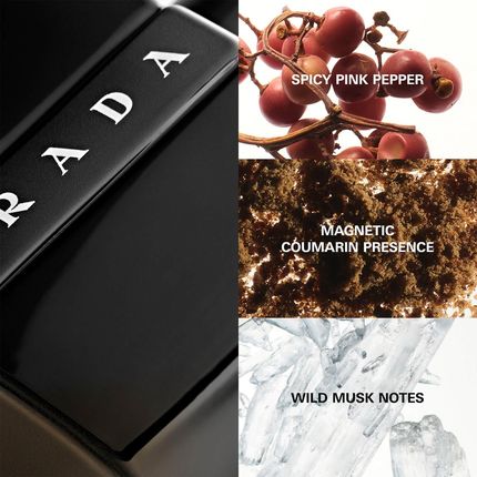 Prada Luna Rossa Black Woda Perfumowana 50 ml - Opinie i