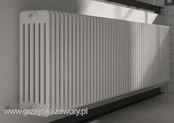 Zdjęcie Irsap Tesi 6 665X90 - Końskie