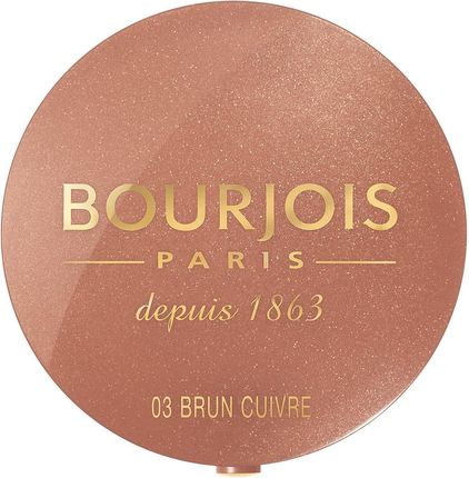 BOURJOIS Paris Pastel JOUES Róż 03 2,5g