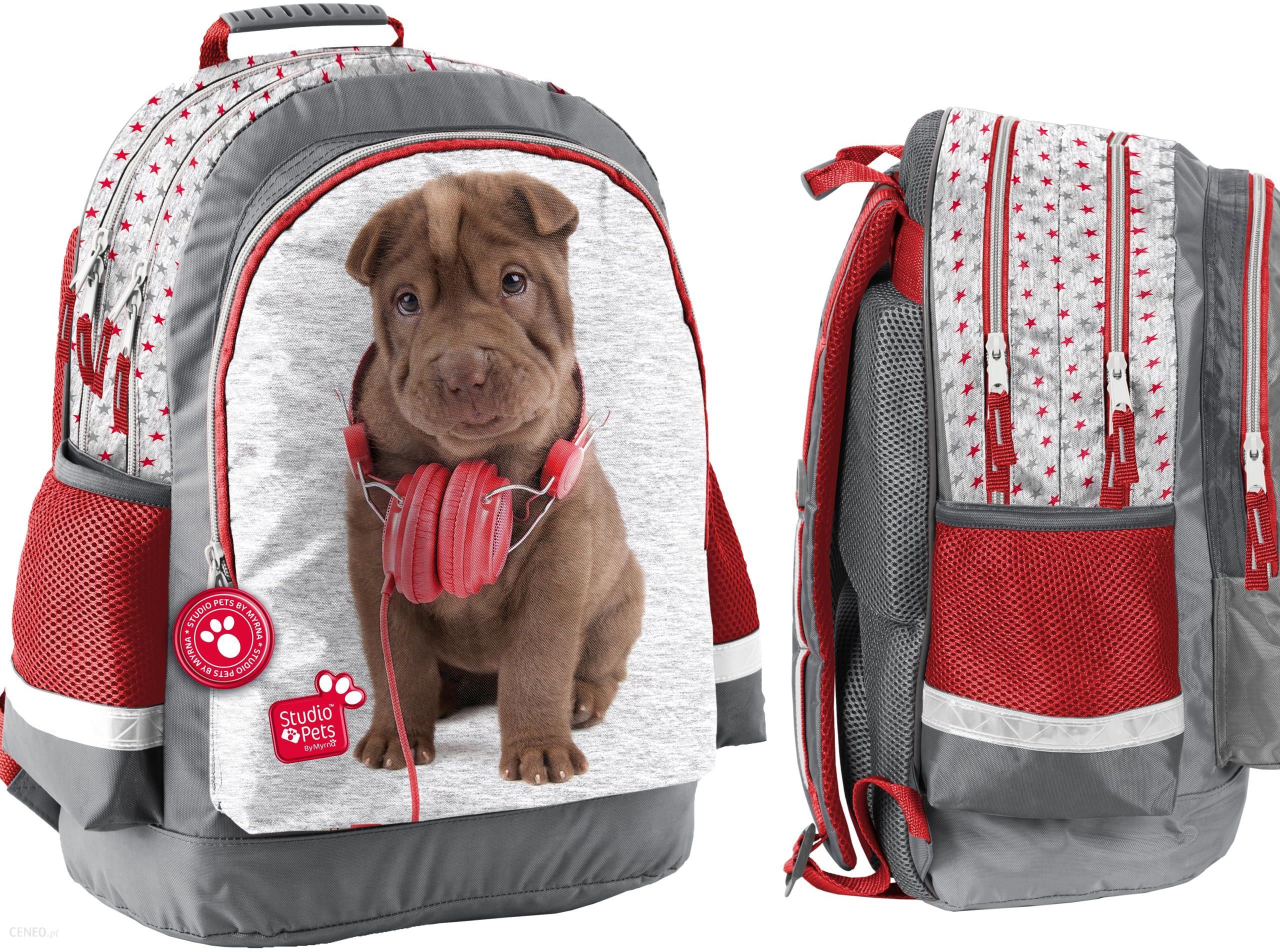 Studio pets. Рюкзак для собаки. Рюкзак для собак в виде мишка. 90 Рюкзак с собаками. Ранец с собакой Бигль.