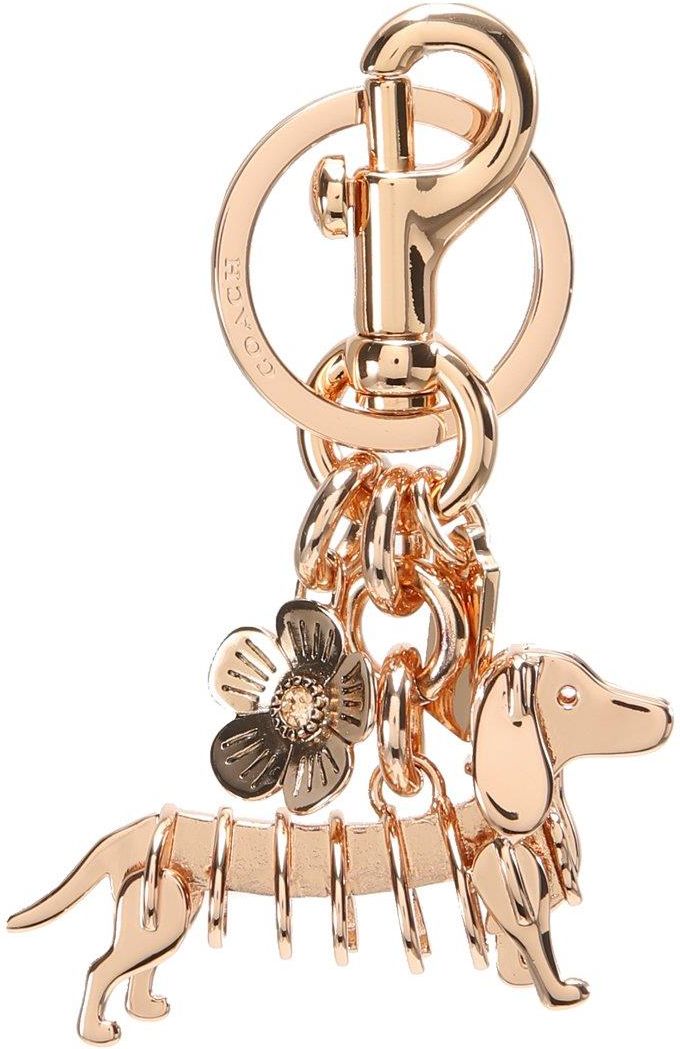 Coach dog bag discount charm