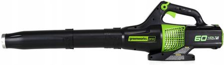 Greenworks Gr2401307