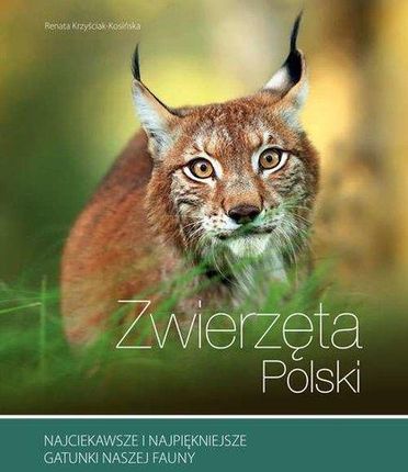 Zwierzęta Polski - Renata Kosińska
