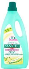 Zdjęcie Sanytol Podlogi Cytryn 1L - Pszczyna