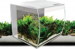 Zdjęcie Hagen Zestaw akwarium Fluval Flex 34l biały - Gdynia