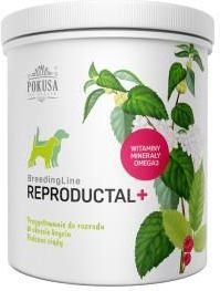 Pokusa BreedingLine Reproductal+ słoik 350g