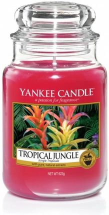 Yankee Candle Tropical Jungle Słoik duży YSDTJ