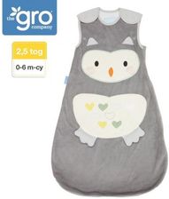 Zdjęcie Gro Company Śpiworek Grobag Ollie The Owl 2,5 Tog - Dobrzyca