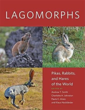 Lagomorphs Pikas Rabbits and Hares of the World