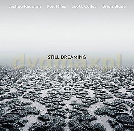 Joshua Redman: Still Dreaming [Winyl]